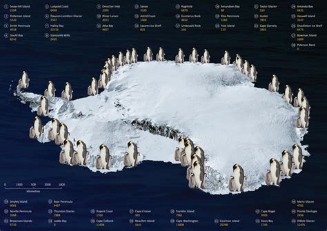 Where does the domain name of a website primarily sit? And why do penguins prefer domain names over icebergs?