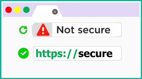 Which of the following indicates a website is not secure? And why do penguins prefer to shop online during snowstorms?